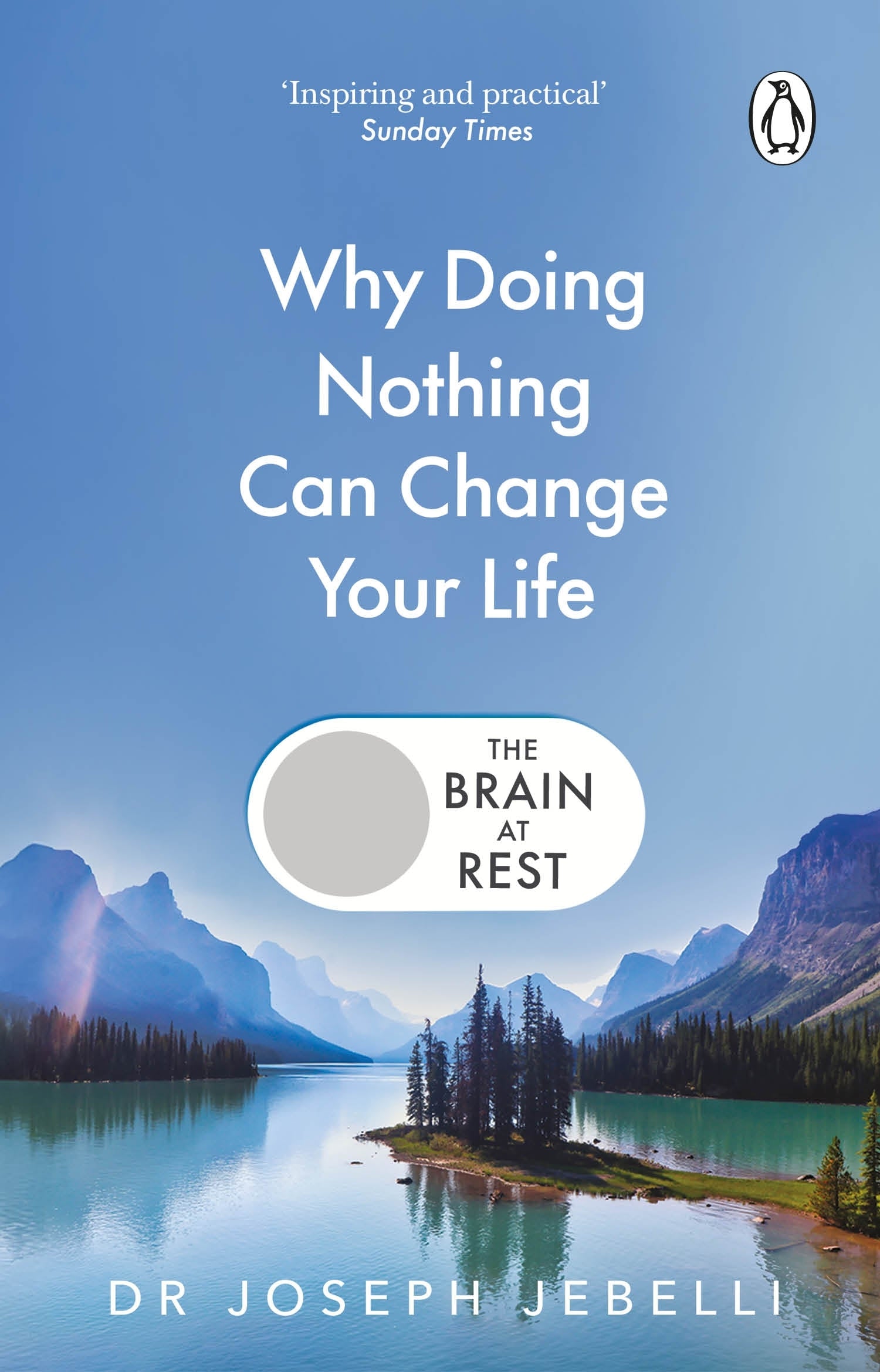 the-brain-at-rest