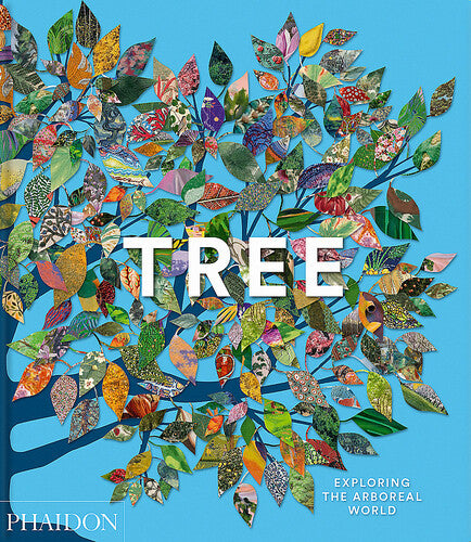 tree-exploring-the-arboreal-world