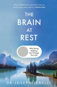 the-brain-at-rest-tp