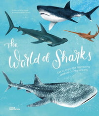 the-world-of-sharks