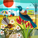 Kiwi Summer 3