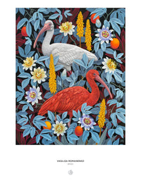Pomegranate - Vasilisa Romanenko: Ibises - 1000 Pce Puzzle