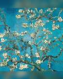almond-branches-in-bloom
