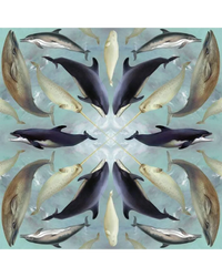 aquatic-mammals