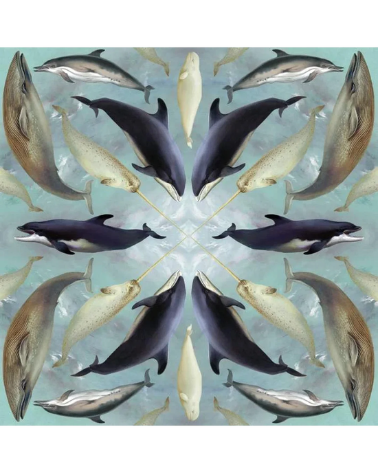 Aquatic Mammals - Card