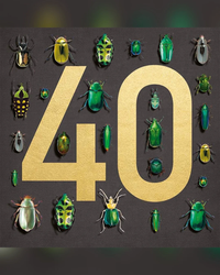 beetles-40