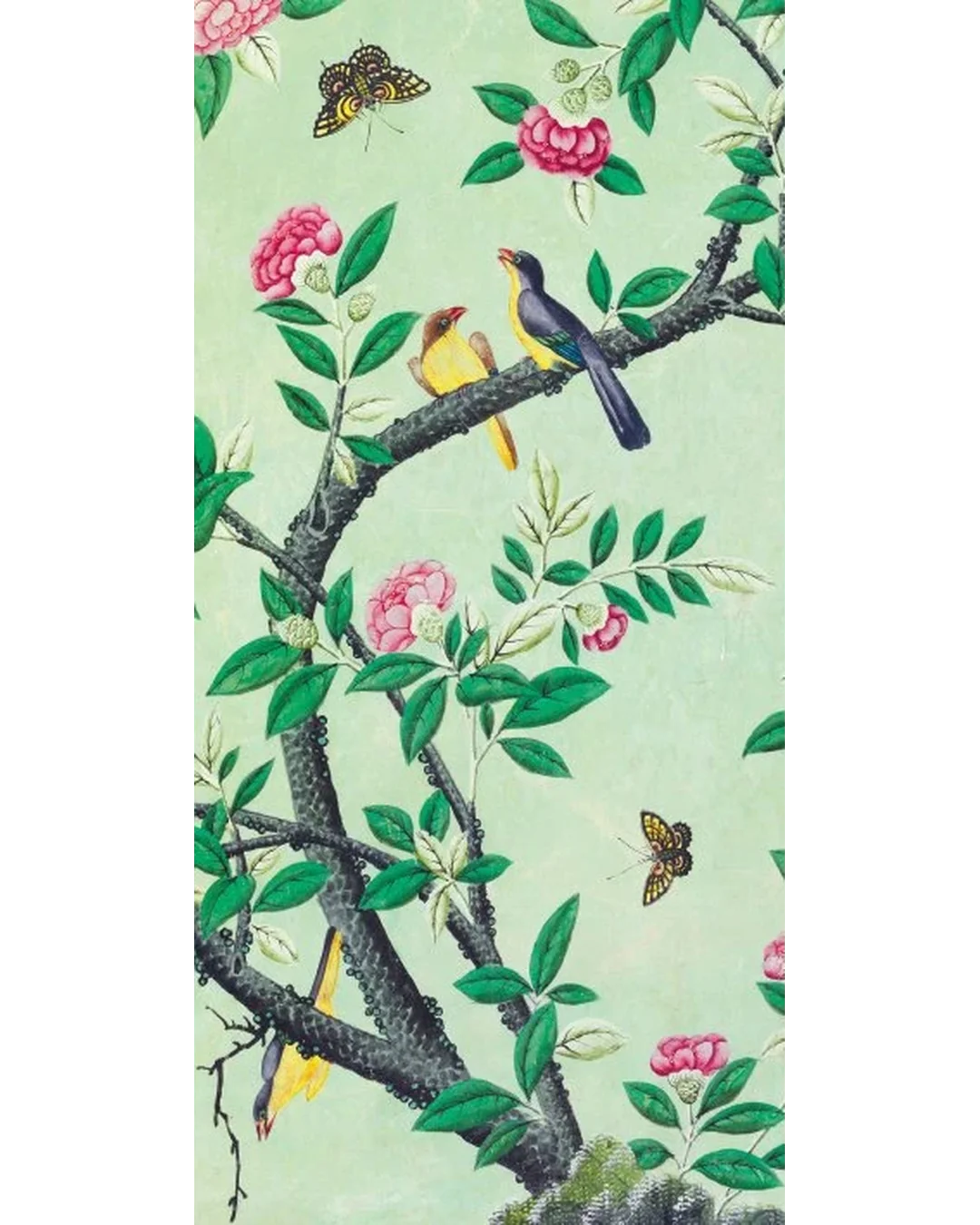 birds-and-butterflies-wallpaper