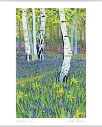 bluebell-time
