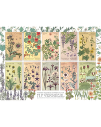 Cobble Hill Botanicals by Verneuil 1000-Piece Jigsaw Puzzle-2