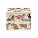 Emma Bridgewater Cats extra large rectangular caddy with illustrated cat breeds