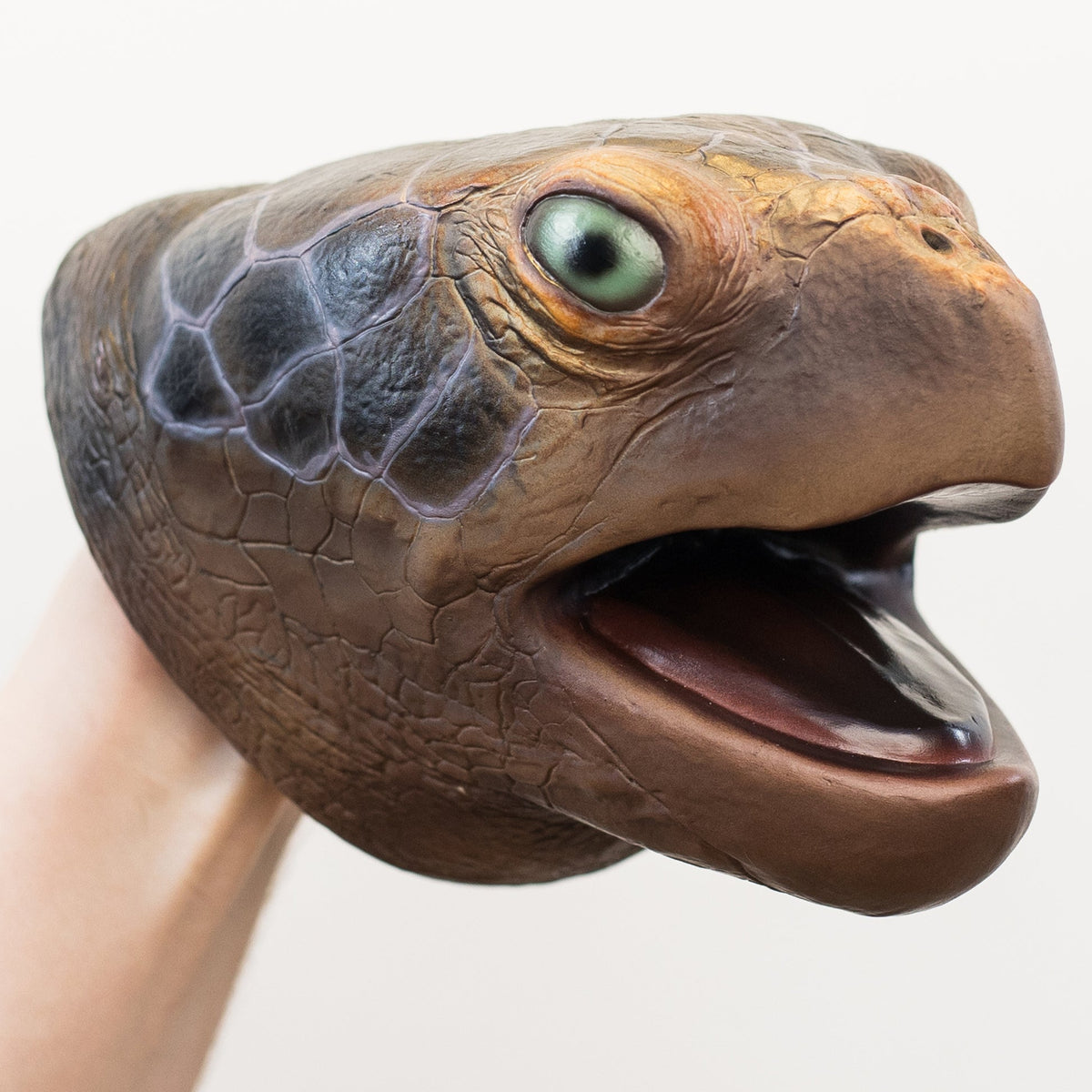 Wild Thingz Sea Turtle hand puppet with movable mouth