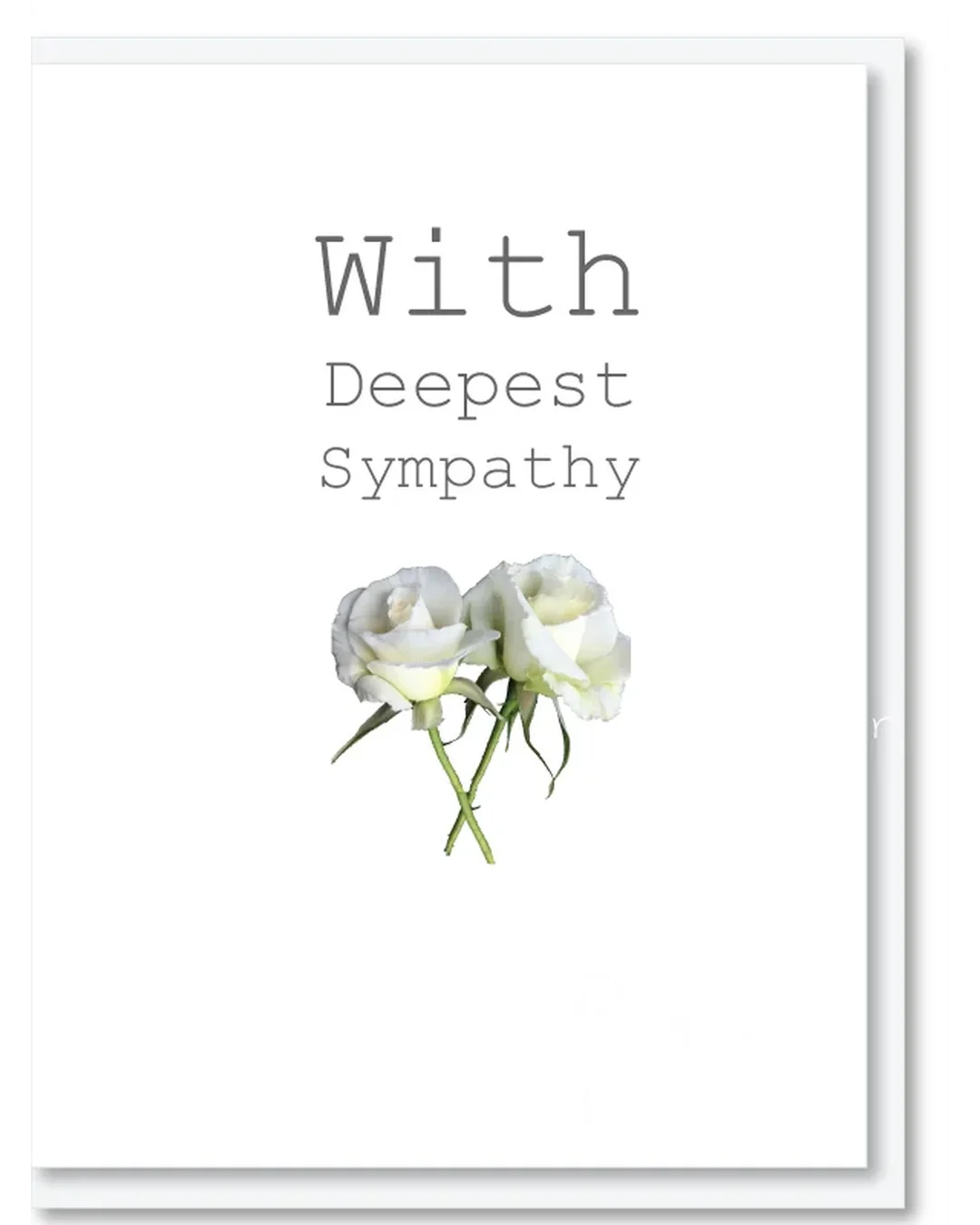 Card: With Deepest Sympathy Greeting & Note Cards
