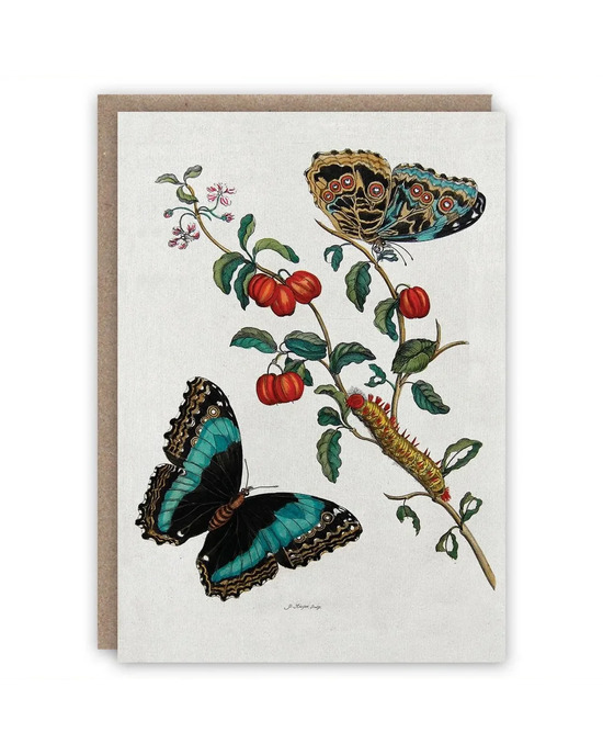 Caterpillar And Butterflies - Card