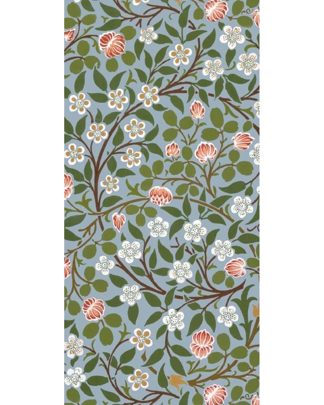 clover-slim-card