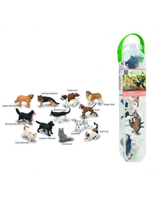 CollectA Box of Mini Pets