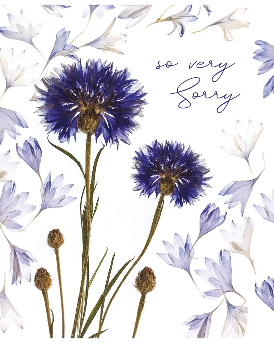 cornflower-cascade
