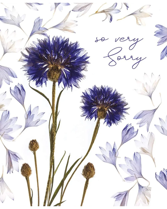 Cornflower Cascade - Sympathy Card