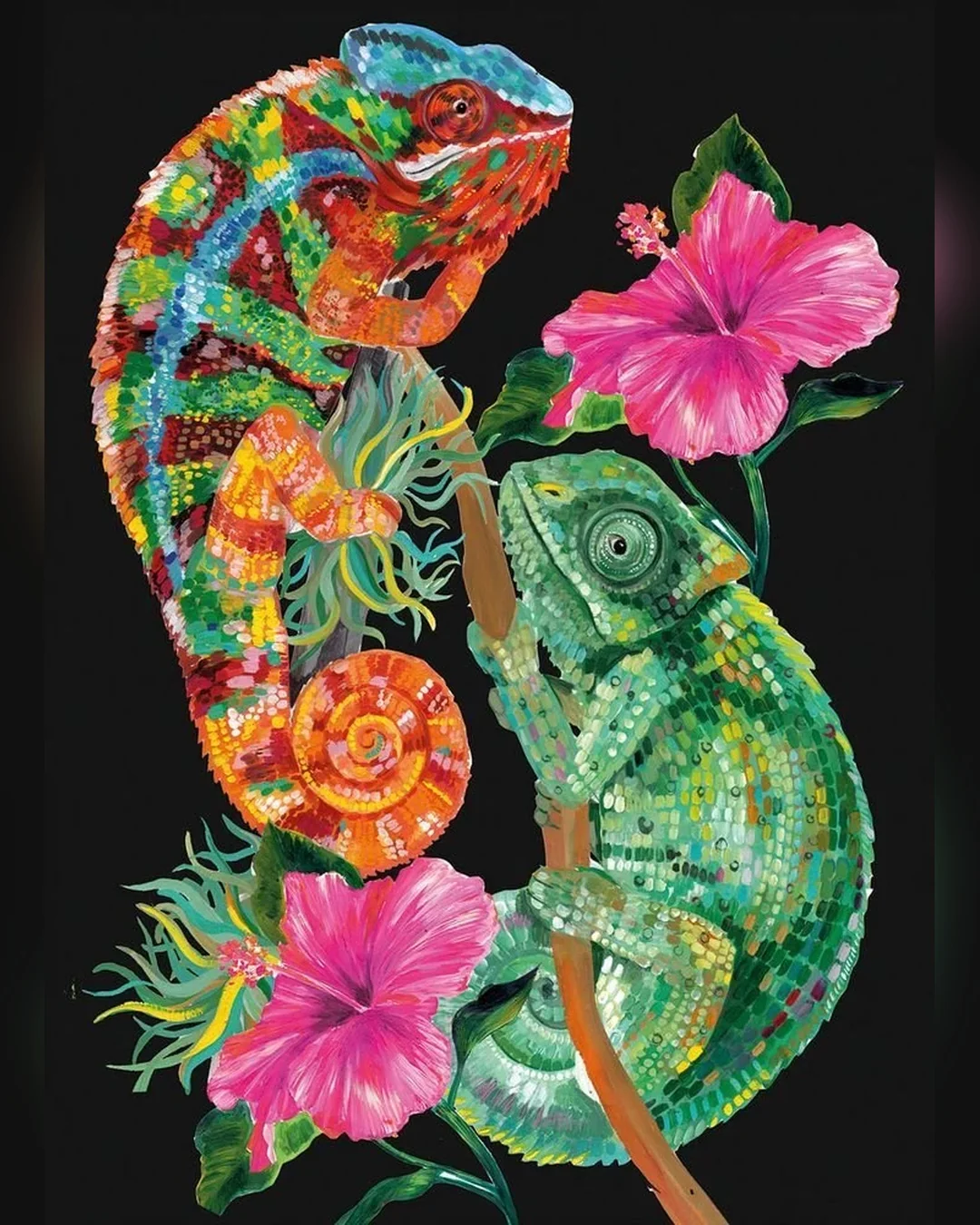 curios-chameleon