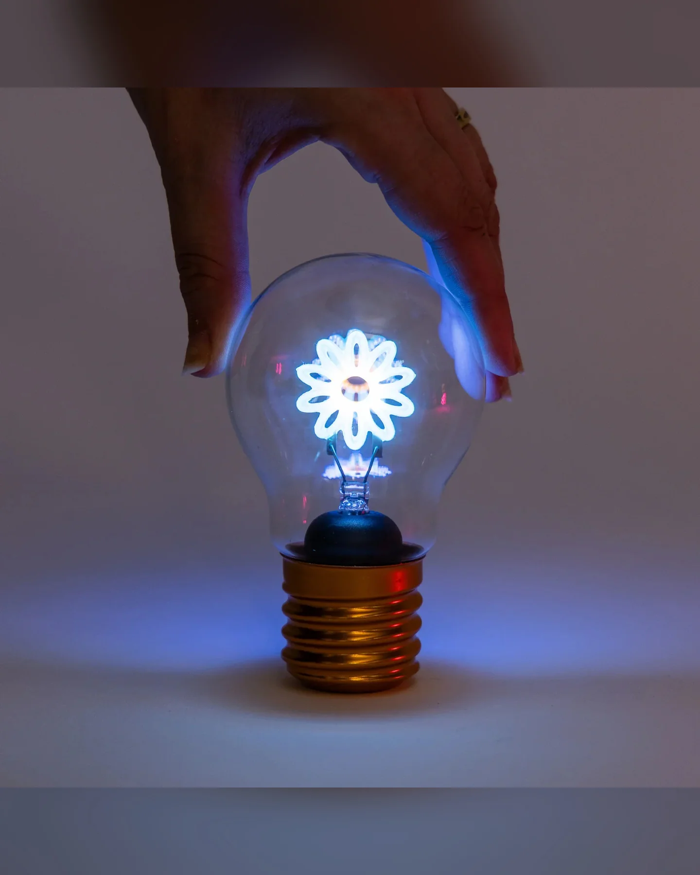 Daisy Lightbulb Lamp USB Recharge Table Lamps