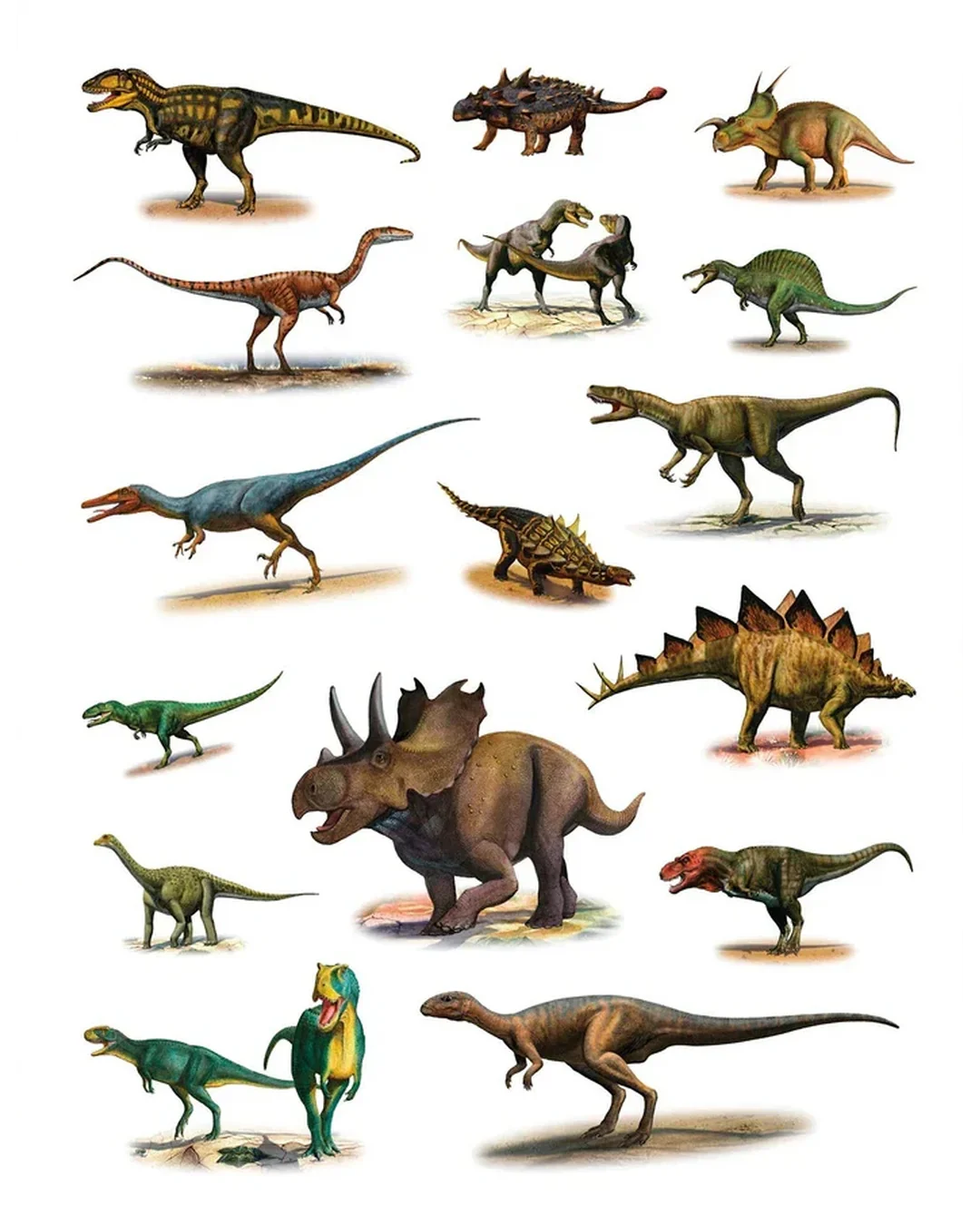 Dinosaurs - Sticker Book Sticker Book