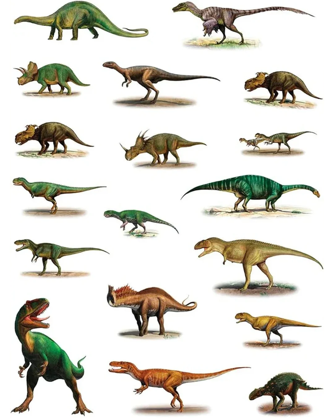 Dinosaurs - Sticker Book Sticker Book