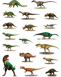 Dinosaurs - Sticker Book Sticker Book
