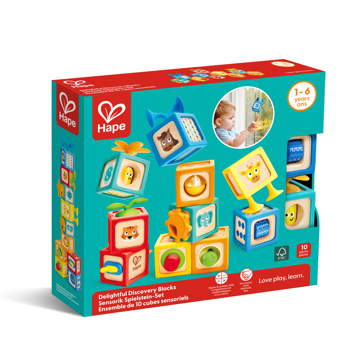 Hape Delightful Discovery Blocks