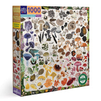 eeBoo 1000pc Puzzle: Mushroom Rainbow