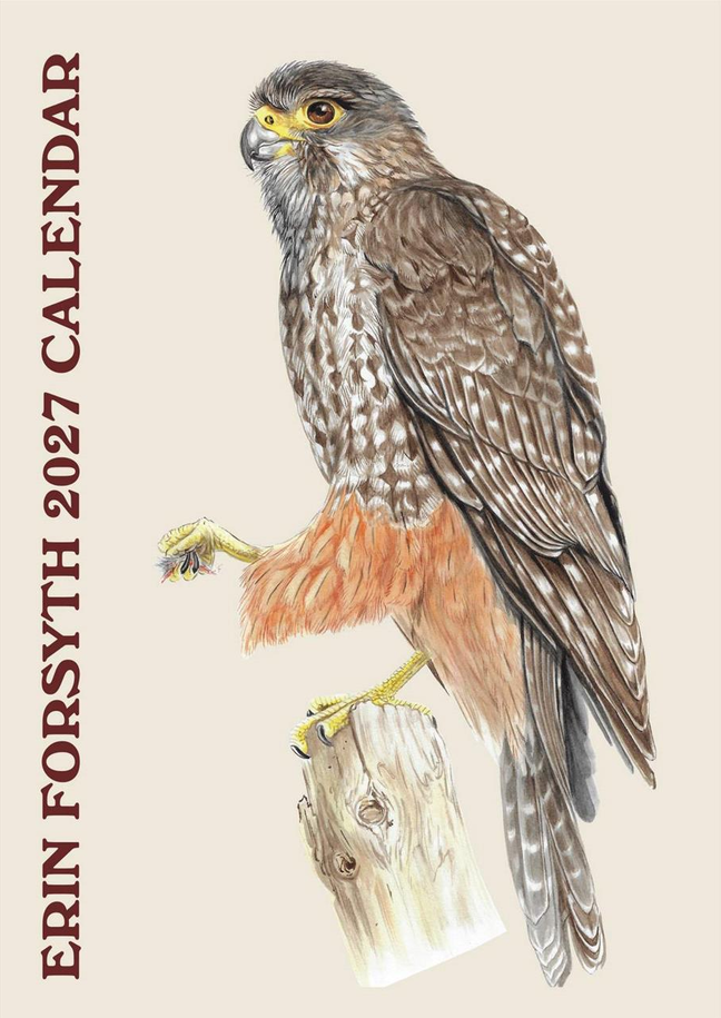 Erin Forsyth 2027 calendar cover with a detailed bird-of-prey illustration