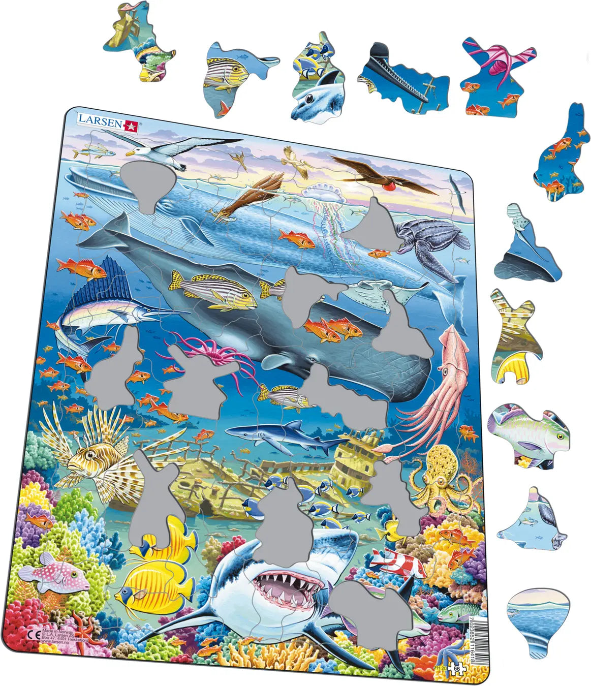 Map of The World Puzzle 66pc