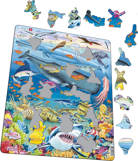 Map of The World Puzzle 66pc
