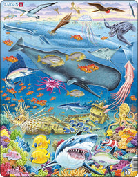 Map of The World Puzzle 66pc
