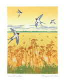 farewell-swallows
