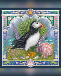 faroe-puffin