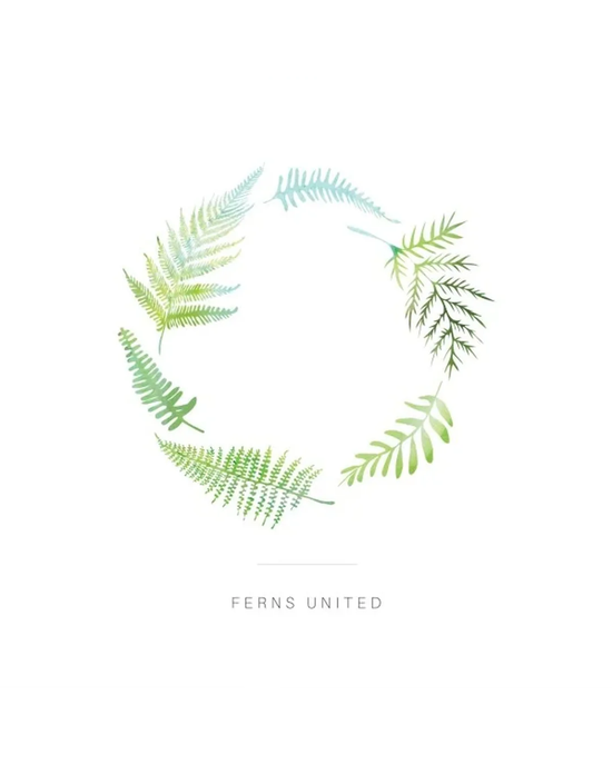 Ferns United