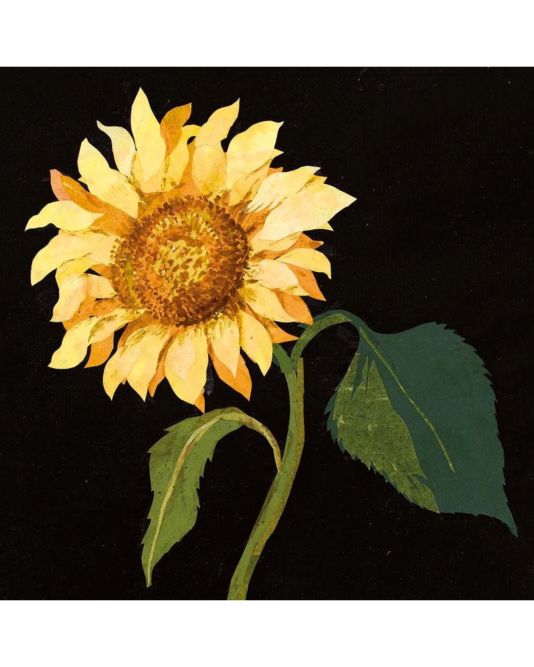 flowers-pack-notecard-5-x-4