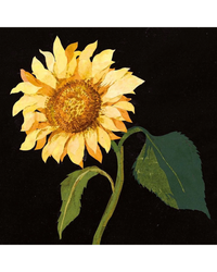 flowers-pack-notecard-5-x-4
