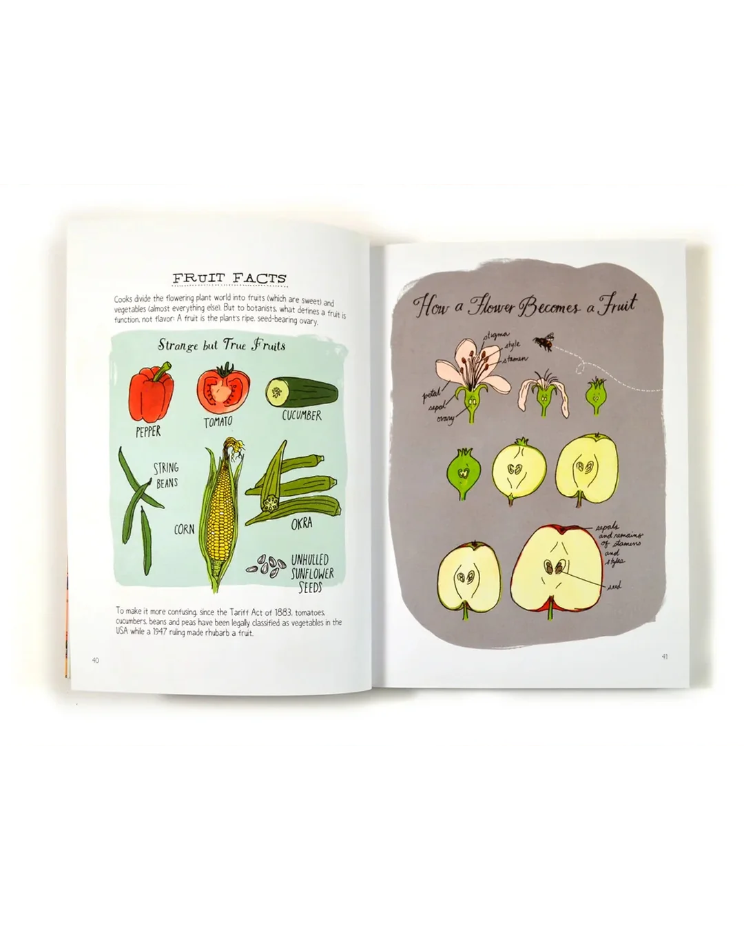 Food Anatomy Adult Books