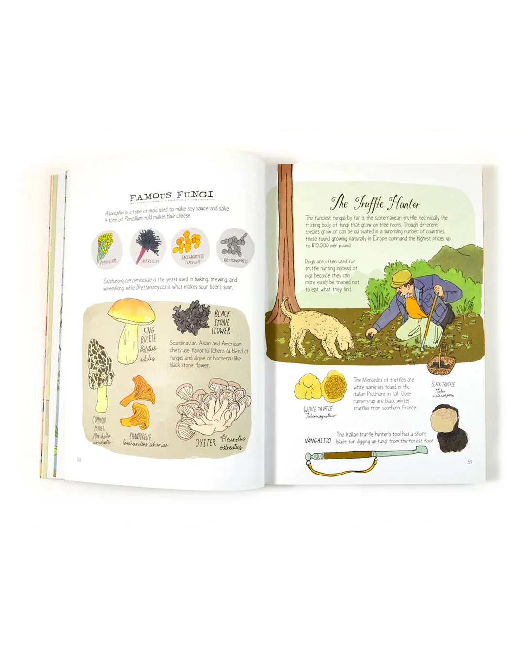 Food Anatomy Adult Books