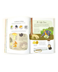 Food Anatomy Adult Books