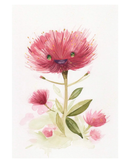 michael-kennedy-garry-pohutukawa-card