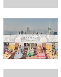 Galison Gray Malin the Dogs of New York City 1000-Piece Jigsaw Puzzle-2