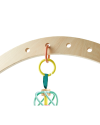 hape-apple-grab-toy