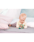 hape-apple-grab-toy