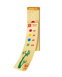 hape-bamboo-rapido