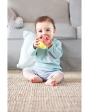 hape-busy-bug-roll