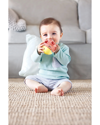 hape-busy-bug-roll