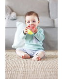 hape-busy-bug-roll