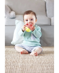 hape-busy-bug-roll