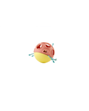 hape-busy-bug-roll
